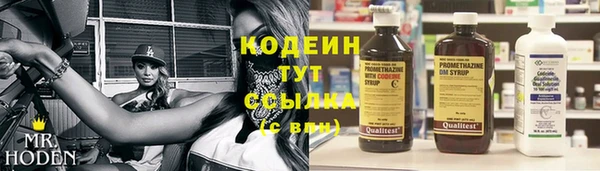 амф Алзамай