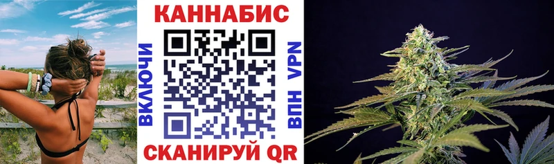 Бошки марихуана гибрид  Советский 